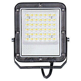 Panaled Zafra Proyector LED portátil (30 W, L x An x Al: 2,65 x 14,12 x 16,34 cm, IP65, Blanco cálido)