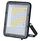 Panaled Zafra Proyector LED portátil (50 W, L x An x Al: 282 x 16,74 x 19,82 cm, IP65, Blanco cálido) | BAUHAUS