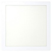 Panaled Foco downlight de superficie LED Ofis (20 W, Largo: 22 cm, Blanco cálido) | BAUHAUS