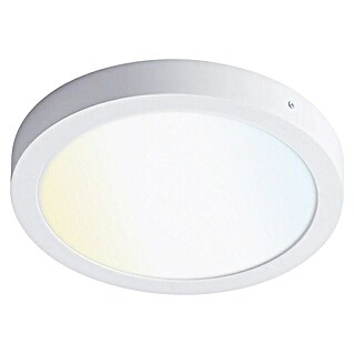 Panaled Foco downlight de superficie LED Ofis (20 W, Blanco cálido)