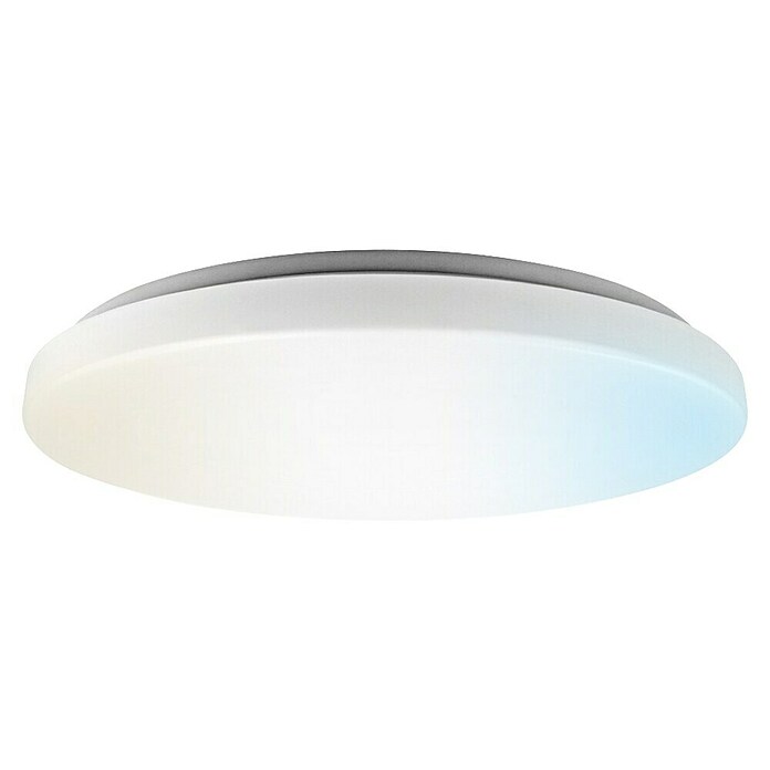 Panaled Plafón LED redondo Dach (24 W, Ø x Al: 35 x 7 cm, Blanco, Blanco cálido) | BAUHAUS