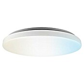 Panaled Plafón LED redondo Dach (24 W, Ø x Al: 35 x 7 cm, Blanco, Blanco cálido) | BAUHAUS