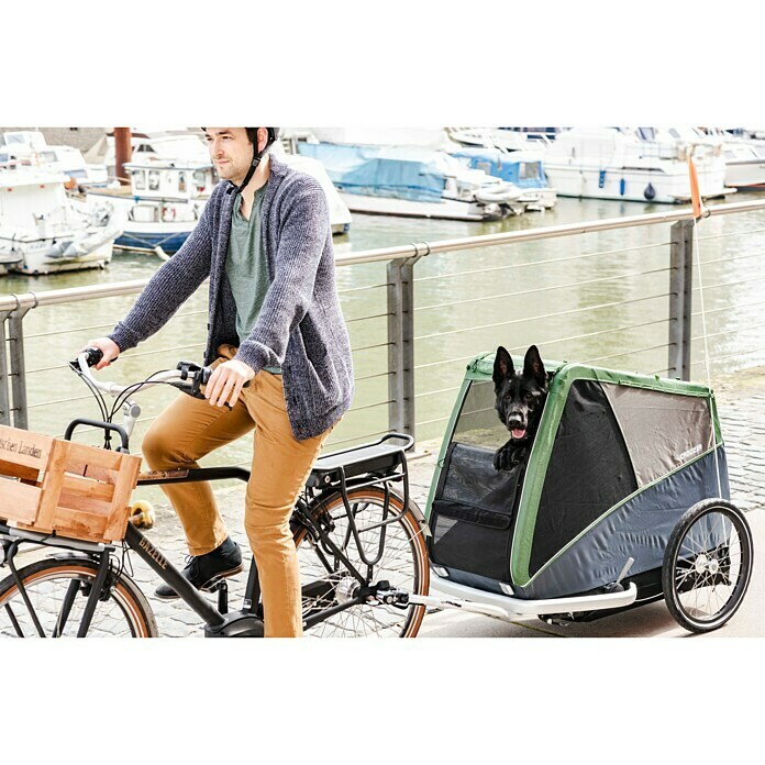 Croozer Hundeanhänger Dog BruunoTraglast: 45 kg, Farbe: Pine green Mood Shot