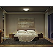 Osram Orbis LED-Deckenleuchte rund Slim Moia (24 W, Ø x H: 38 x 4 cm, Schwarz, Warmweiß) | BAUHAUS