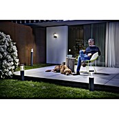 Osram Endura Style LED zunanja stenska svetilka Lantern Modern  (11,5 W, 17,6 x 11 x 24 cm, Temno sive barve, IP44) | 3078 - Wandleuchte Outdoor | CAJA - Outdoorleuchten Hochvolt | CAJ - Outdoorleuchten | CA - Beleuchtung | C - Elektro | BAUHAUS