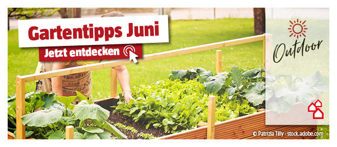 Gartentipps für den Juni entdecken