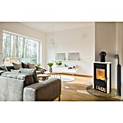 Fireplace Kaminofen Brasil (6 kW, Raumheizvermögen: 108 m³, Material Verkleidung: Sandstein, Schwarz) | BAUHAUS