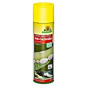 Neudorff Insecticida anti-cochinillas (400 ml) | BAUHAUS