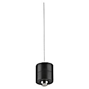 Just Light Led-pendellamp op accu Attach (3 W, Zwart, Warm wit) | BAUHAUS