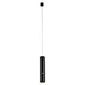 Just Light Led-pendellamp op accu Attach (3 W, Zwart, Warm wit) | BAUHAUS