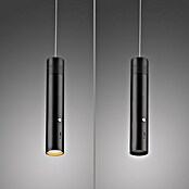 Just Light Led-pendellamp op accu Attach (3 W, Zwart, Warm wit) | BAUHAUS