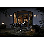 Osram Aplique exterior con sensor Endura (L x An x Al: 23 x 17 x 28 cm, IP44) | BAUHAUS