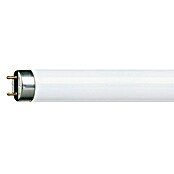 Philips Tubo de LED (36 W, Color de luz: Blanco neutro, G13, Largo: 121 cm)