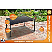 Blackglas Solar-Tischkraftwerk Geo Flare (440 W, L x B x H: 180 x 120 x 113,4 cm, Ohne Rollen) | BAUHAUS