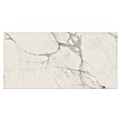 Cersanit Podna pločica Calacatta Look  (29,8 x 59,8 cm, Mat) | BAUHAUS