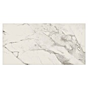 Cersanit Podna pločica Calacatta Look  (29,8 x 59,8 cm, Mat) | BAUHAUS