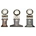 Fein Starlock Zubehör-Set E-Cut Combo Starlock Wood 