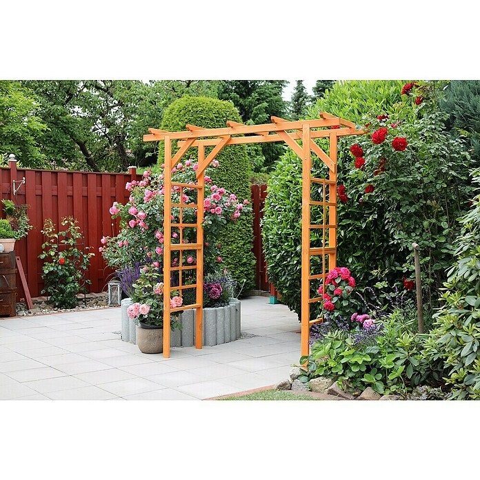 Promadino Pergola Anke (60 x 200 x 210 cm, Honigbraun, Holz) | BAUHAUS