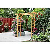 Promadino Pergola Anke (60 x 200 x 210 cm, Honigbraun, Holz) | BAUHAUS