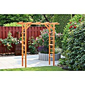 Promadino Pergola Anke (60 x 200 x 210 cm, Honigbraun, Holz) | BAUHAUS