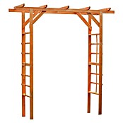 Promadino Pergola Anke (60 x 200 x 210 cm, Honigbraun, Holz) | BAUHAUS
