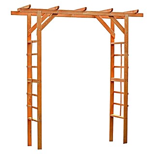 Promadino Pergola Anke (60 x 200 x 210 cm, Honigbraun, Holz)