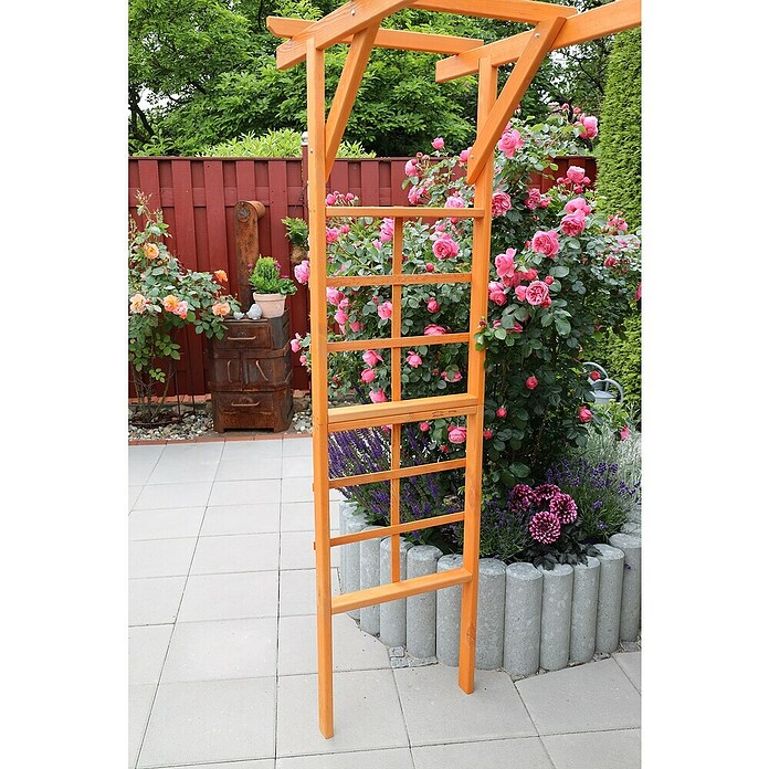 Promadino Pergola Anke (60 x 200 x 210 cm, Honigbraun, Holz) | BAUHAUS