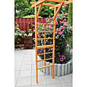 Promadino Pergola Anke (60 x 200 x 210 cm, Honigbraun, Holz) | BAUHAUS