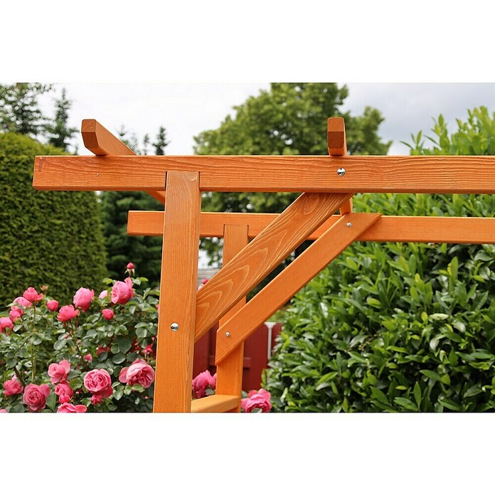 Promadino Pergola Anke (60 x 200 x 210 cm, Honigbraun, Holz) | BAUHAUS