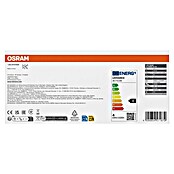 Osram Star Set LED žarulja Classic B 40 – set od 6 komada  (E14, Bez prigušivanja, Topla bijela, 470 lm, 4 W, 6 Kom.) | BAUHAUS