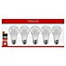 Voltolux Set LED sijalk 