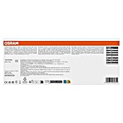 Osram Set LED žarulja Base Classic  (Mat, Bez prigušivanja, Topla bijela, 806 lm, 7 W, 6 Kom.) | BAUHAUS