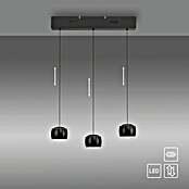 Just Light Lámpara colgante LED Vidrio (15 W, L x An x Al: 10 x 60 x 220 cm, Negro) | BAUHAUS