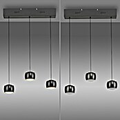 Just Light Lámpara colgante LED Vidrio (15 W, L x An x Al: 10 x 60 x 220 cm, Negro) | BAUHAUS