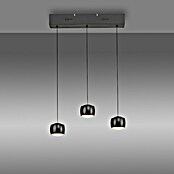 Just Light Lámpara colgante LED Vidrio (15 W, L x An x Al: 10 x 60 x 220 cm, Negro) | BAUHAUS