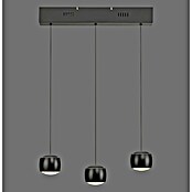 Just Light Lámpara colgante LED Vidrio (15 W, L x An x Al: 10 x 60 x 220 cm, Negro) | BAUHAUS