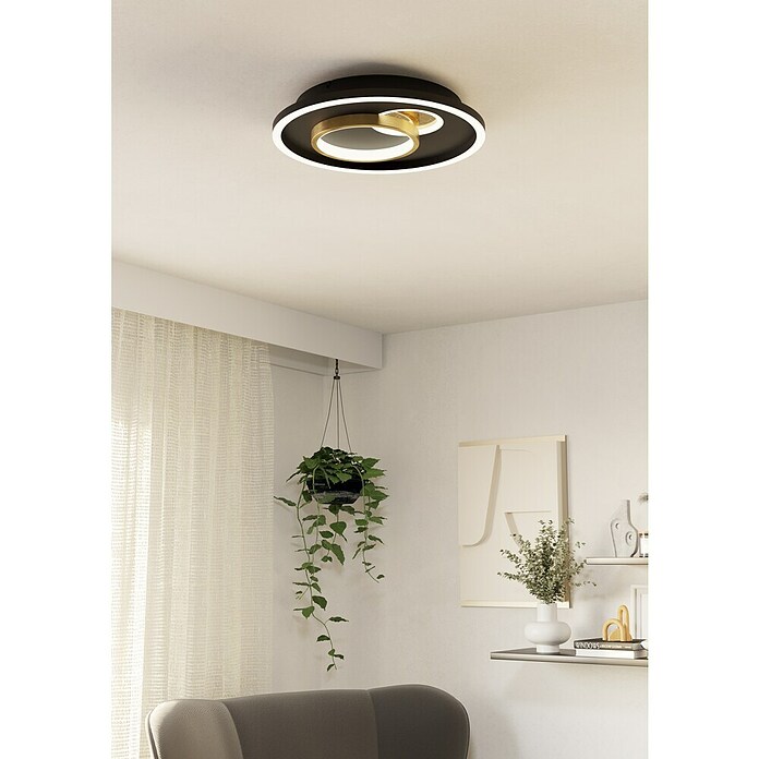 Eglo Plafón LED redondo para pared y techo Triolo (21,2 W, Ø x Al: 38 cm x 6 mm, Negro/Oro, Blanco cálido) | BAUHAUS