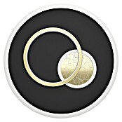 Eglo Plafón LED redondo para pared y techo Triolo (21,2 W, Ø x Al: 38 cm x 6 mm, Negro/Oro, Blanco cálido) | BAUHAUS