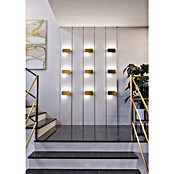Eglo Talamello Aplique de pared LED (6 W, L x Al: 20 x 10 cm, Oro, Blanco cálido) | BAUHAUS