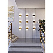 Eglo Talamello Aplique de pared LED redondo (4 W, Ø x Al: 15 x 4 cm, Oro, Blanco cálido) | BAUHAUS