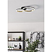 Eglo Calliera Plafón LED (12 W, L x An x Al: 42 x 30 x 8 cm, Negro, Blanco neutro) | BAUHAUS