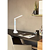 Eglo Lámpara de sobremesa LED Coluccia (10 W, L x An x Al: 19 x 12,5 x 26 cm, Blanco, Blanco neutro) | BAUHAUS