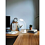 Eglo Lámpara de sobremesa LED Rehamna (11 W, Ø x Al: 15 x 55 cm, Blanco, Blanco cálido) | BAUHAUS