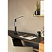 Eglo Lámpara de sobremesa LED Coluccia (10 W, L x An x Al: 19 x 12,5 x 26 cm, Negro, Blanco neutro) | BAUHAUS