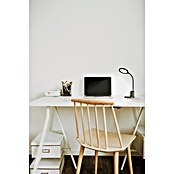Eglo Lámpara de sobremesa LED Rehamna (11 W, Ø x Al: 15 x 55 cm, Negro, Blanco cálido) | BAUHAUS