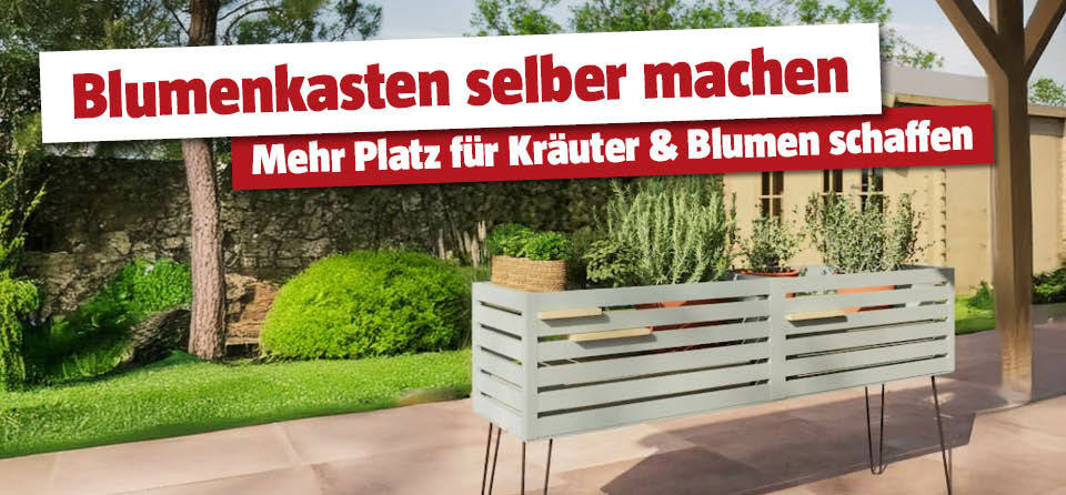bausatz blumenkasten robinia-pro PFLANZKASTEN mit RANKGITTER klassisch, auf Rollen – robinia24 main image 0