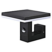 Green Tech Vanjska zidna svjetiljka sa senzorom  (15 W, 180 x 210 x 150 mm, Topla bijela, Bijela, IP65) | BAUHAUS