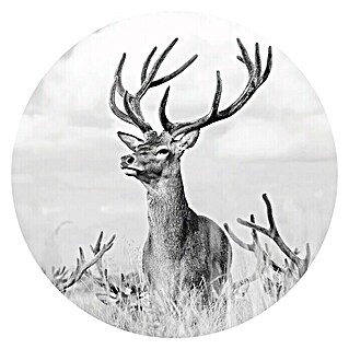 Okrasni panel (Š x V: 20 x 30 cm)