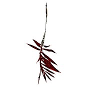 Ornament Blad (Kunststof, Rood) | BAUHAUS