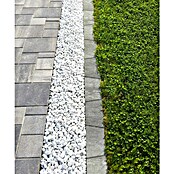 Seesteiner Mähstein (37,7 x 27,5 x 5 cm, Anthrazit meliert, Beton) | BAUHAUS